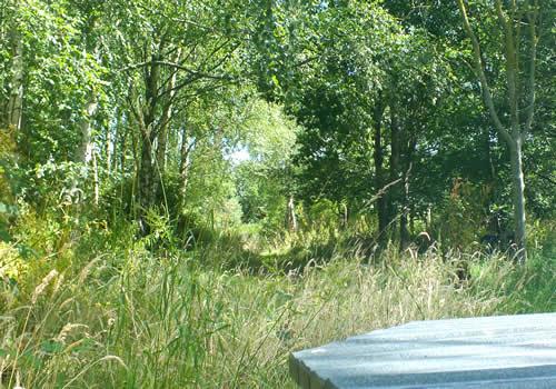 Photo Gallery Image - Views from the picnic table in Millennium Green