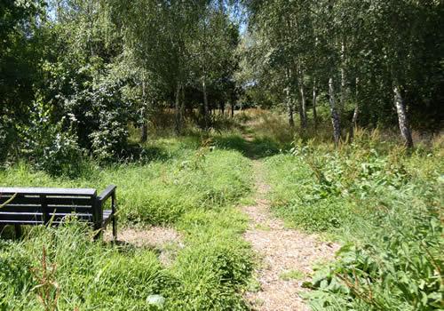 Photo Gallery Image - Millennium Green