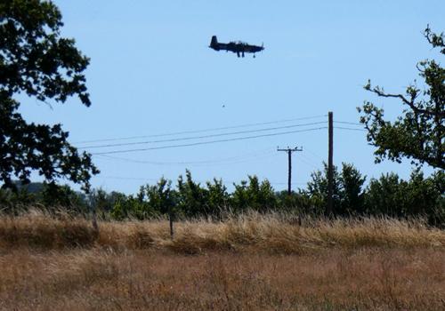 Photo Gallery Image - Plane doing circuits and bumps