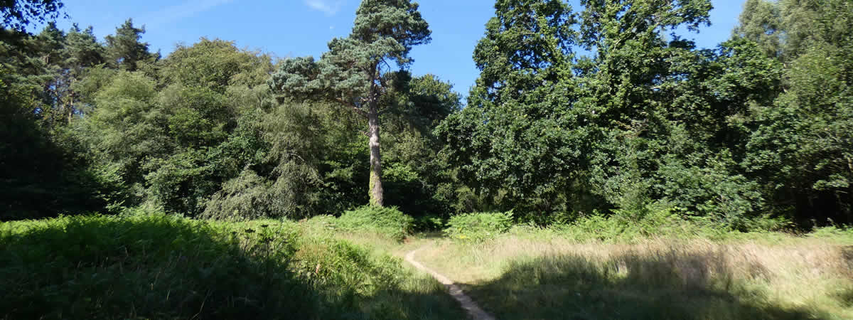Image 04