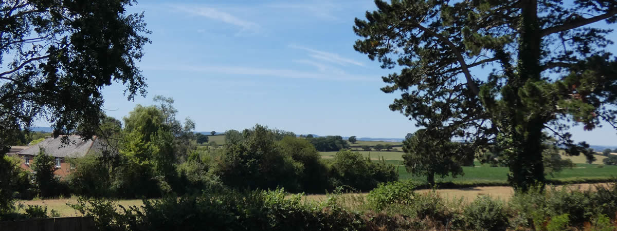 Views from the churchyard