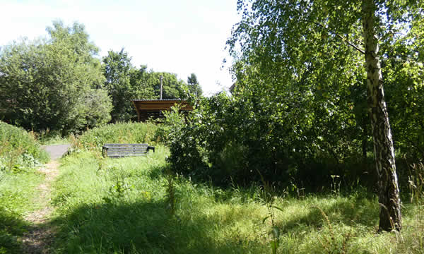 Millenium Green